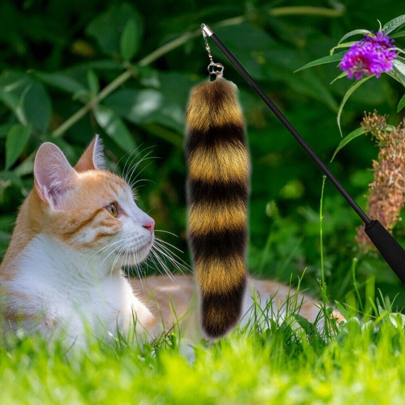 Cat Funny Feather Telescopic Stick for Kitten Playing Teaser Interactive To