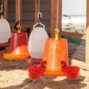 2x automatic bird barn, poultry, chicken drinks, water drinking cup, poultry