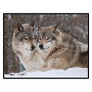 Full Embroidery Snow Wolf 3-Beach 11CT Printed Cross Stitch Cotton DIY Kit