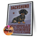 5D DIY Diamond Painting Kits Full Round Drill Dog/Cat Rhinestone Art Crafts H