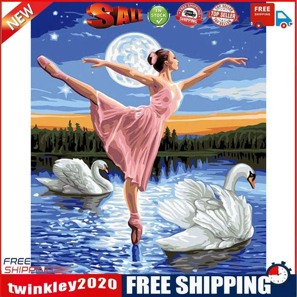 Dancers On Swan Lake 40x50cm Oil Paint By Numbers DIY Painting SXD202106041
