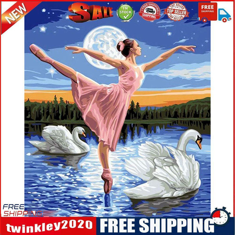 Dancers On Swan Lake 40x50cm Oil Paint By Numbers DIY Painting SXD202106041