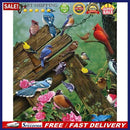 Painting By Numbers Kit DIY Resting Birds Hand Painted Canvas Oil Art Pictu