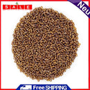 1200pcs/Pack 2mm Charm Mini Beads DIY Necklace Bracelet for Jewelry Making Craft