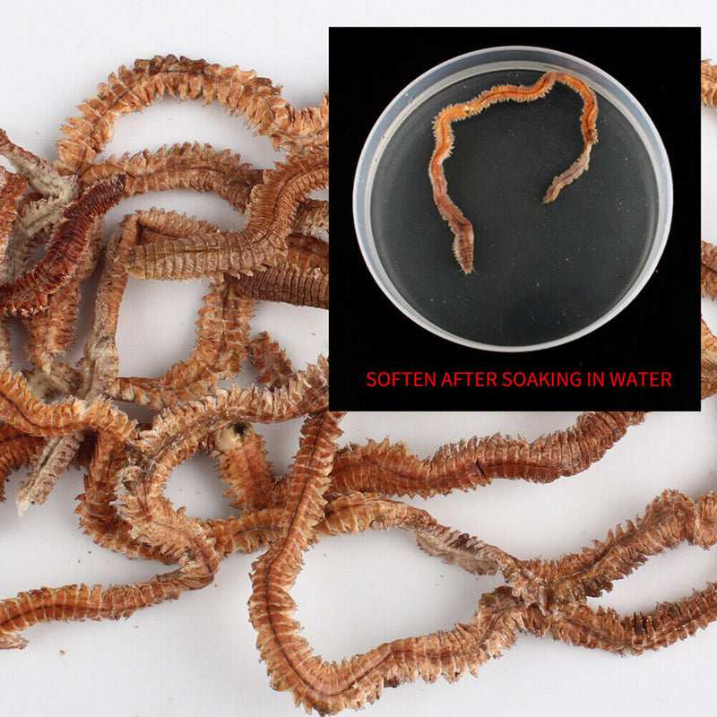 1 Bag Saltwater Freshwater Fishing Lures Sandworm Sea Fishing Artificial Ba