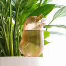 Automatic Plant Flower Self Water Tool Transparent Bird Dripper Pot (Red)