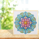 5D DIY Special Shaped Diamond Painting Mandala Cross Stitch Kits (DZ231) Newly