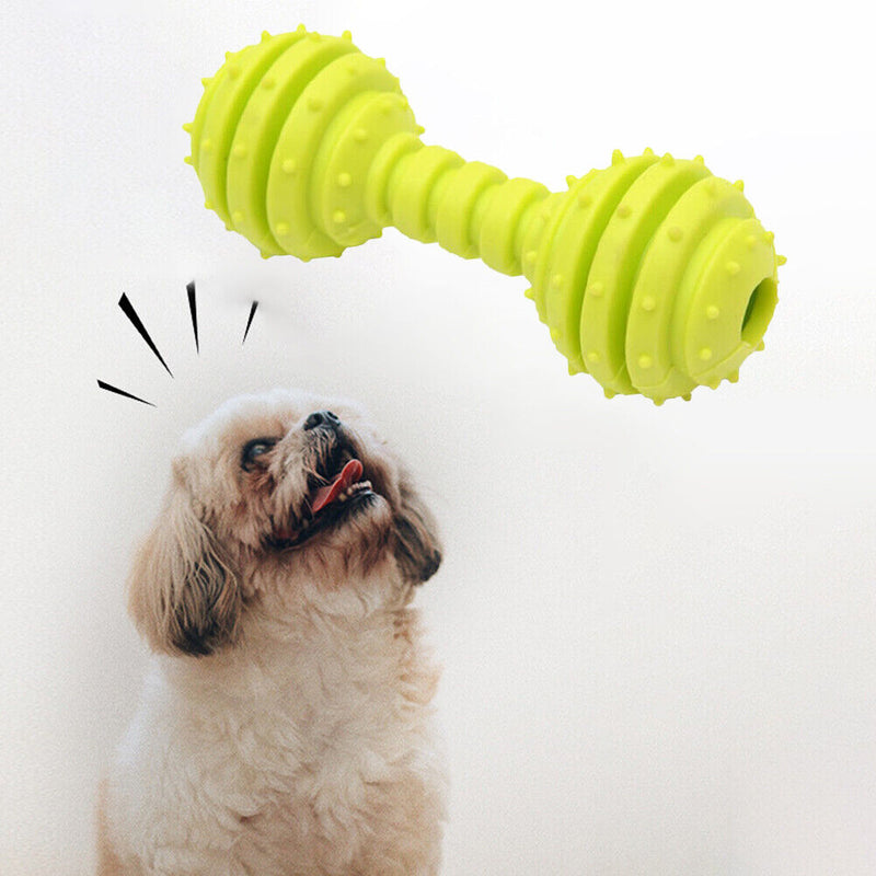 Dog Toys Pet Molar Teeth Stick Bite Sound Interactive Training Ball (Green)