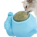 Catnip Ball Cat Rotation Silvervine Cleaning Teeth Interactive Toys (Blue)