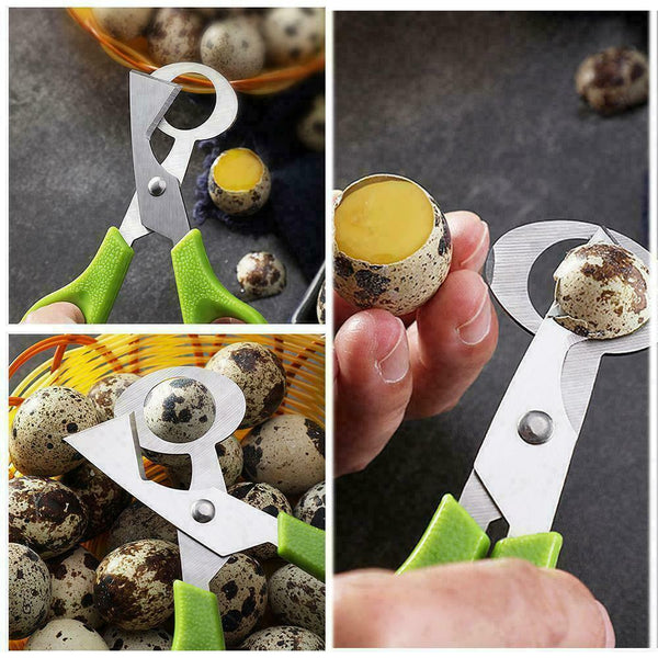 Pigeon Quail Egg Scissors Cracker Opener Cigar Cutter BEST P4K7 Tool Steel W6G5