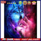 DIY Paint By Number Kit Red Blue Wolf Animals Acrylic Paint Art Craft Decor G