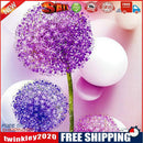 Handmade DIY Full Round Drill Diamond Painting 5D Dandelion Poster Kit