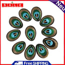 20pcs Peacock Eye Flaps Embroidered Fabric Iron On Patch Sewing Pattern Applique Be