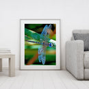 DIY Paint By Number Kit Colorful Dragonfly Acrylic Paint Art Craft Decor Gift