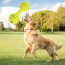 Dog Toys Pet Molar Teeth Stick Bite Sound Interactive Training Ball (Green)