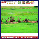 1000pcs DIY Grassland Elk Paper Puzzle Educational Jigsaw Assembling Game T