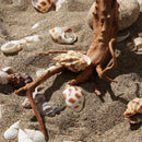 Cuckoo Roots Driftwood Aquarium Decoration Tree Trunk Fish Tank Driftwood