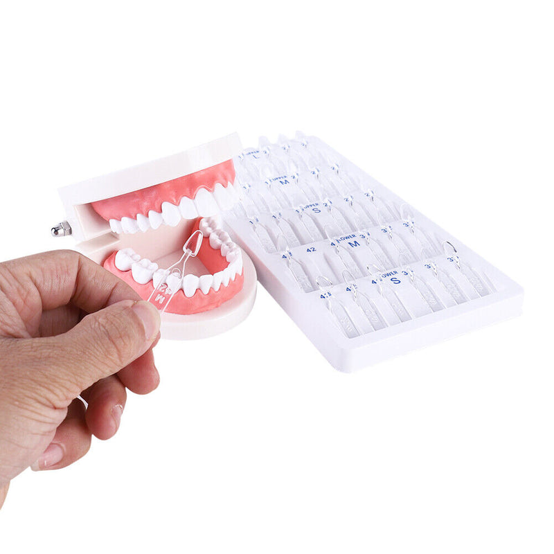 30pcs Dental Veneers Tooth Mould Autoclave Front Teeth Quick Whitening Tools