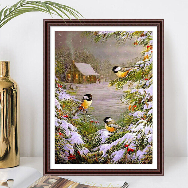 Handpainted DIY Christmas Bird Oil Paint by Numbers Kit Pictures Craft Gifts