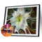 5D Diamond Painting Kit DIY Abstract Flower Full Round Drill Mosaic Picture A
