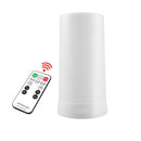 LED Flame Effect Light USB Rechargeable Table Lamp with Remote Dimmable`