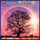 5D DIY Diamond Painting Full Drill Rhinestone Mosaic Tree and Moon Cross Stit