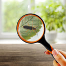 Portable Handheld Magnifying Glass Magnifier for Newspaper Reading (10X)