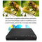 Home DVD Player with AV Cable for TV Multi Region DVD Player with Remote Control