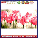 DIY Acrylic Paint by Numbers Oil Paint Kit Beautiful Flower Coloring by Numbe