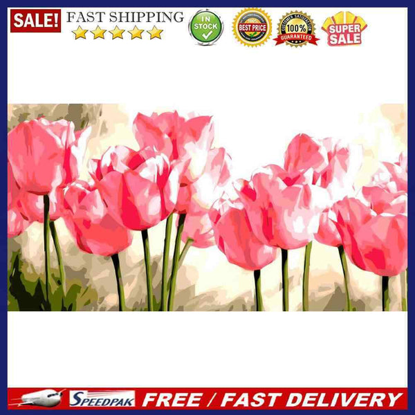 DIY Acrylic Paint by Numbers Oil Paint Kit Beautiful Flower Coloring by Numbe