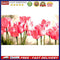 DIY Acrylic Paint by Numbers Oil Paint Kit Beautiful Flower Coloring by Numbe