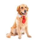 Cat Dog Collar Bow Tie Adjustable Cotton Pet Formal Necktie for Wedding Par