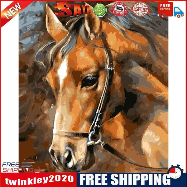 Hand Painted Craft Frameless DIY Sad Horse Painting By Numbers Kit Picture