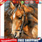 Hand Painted Craft Frameless DIY Sad Horse Painting By Numbers Kit Picture