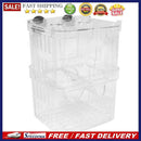 Acrylic Breeding Isolation Box Fish Aquarium Accessory Double Guppies Hatch