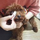 Pets Dog Cat Cleaning Paper Towel Wet Gentle Wipes Tear Stain Remover (Eye)