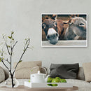 5D DIY Smile Donkey Full Round Drill Diamond Painting Art Embroidery Home Decor