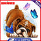 5D DIY Diamond Painting Pug Butterfly Full Round Drill Mosaic Rhinestone Picture