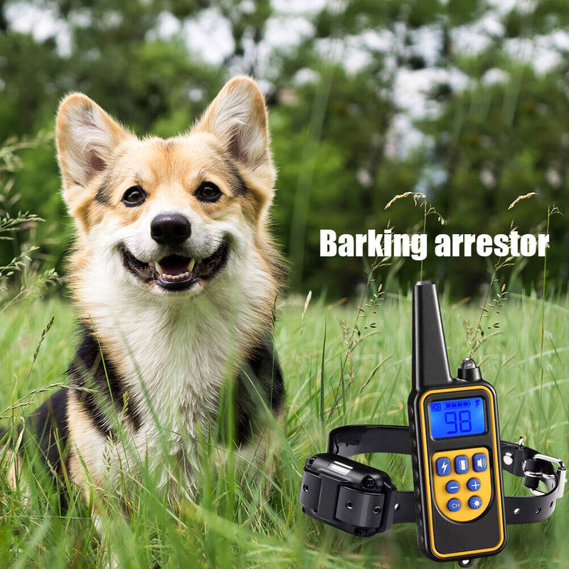 Dog Training Collar Waterproof Receiver Pets Control Rechargeable (1pcs AU)