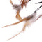 Black Handmade Feathers Catcher Wall Hanging Dream House Car Decor Craft Fes