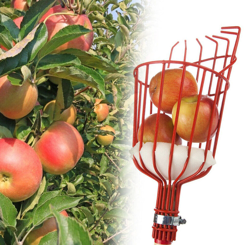 Garden Tools Metal Apples Pears Peaches Oranges Gardening Fruits Catcher Pi