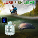 Mini LED Fishing Lure Light Water Triggered Underwater Bait Lamp (Blue) Newly