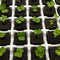 20x Soilless Hydroponic Sponge Planting Gardening Tools Seedling Sponge I0C9