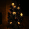 3.8m Solar 10 LED Ball Fairy String Light Lamp for Garden Path Yard Decor Newly