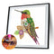 5D Partial Special Shaped Diamond Painting Hummingbird Poster Kit (UP264) Newly