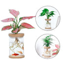 Ornament Plastic Vase Hydroponic Vase Flower Arrangement Plant Flower Pot