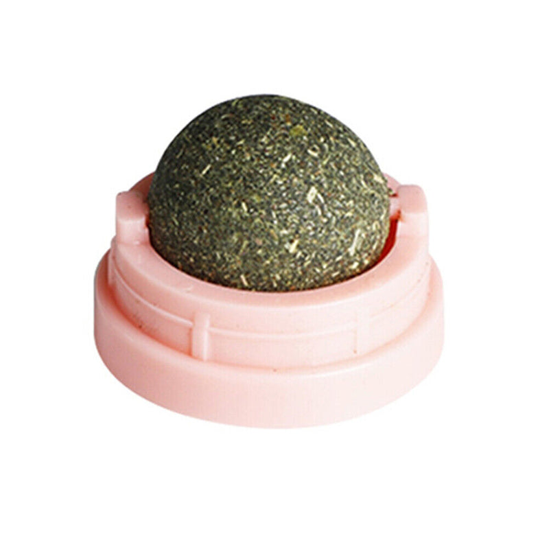 #A Funny Catnip Ball Set Cat Supplies Bite Resistance for Cats Over Six Months O