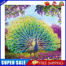 Part Special Shaped Drill Diamond Painting Peacock Mosaic Picture Art Craft