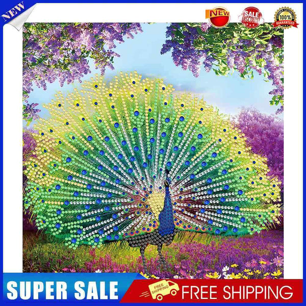 Part Special Shaped Drill Diamond Painting Peacock Mosaic Picture Art Craft
