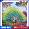 Part Special Shaped Drill Diamond Painting Peacock Mosaic Picture Art Craft